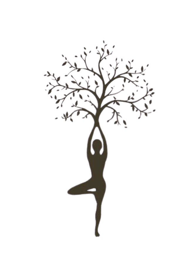 Back to Balance – Somatische Körperarbeit